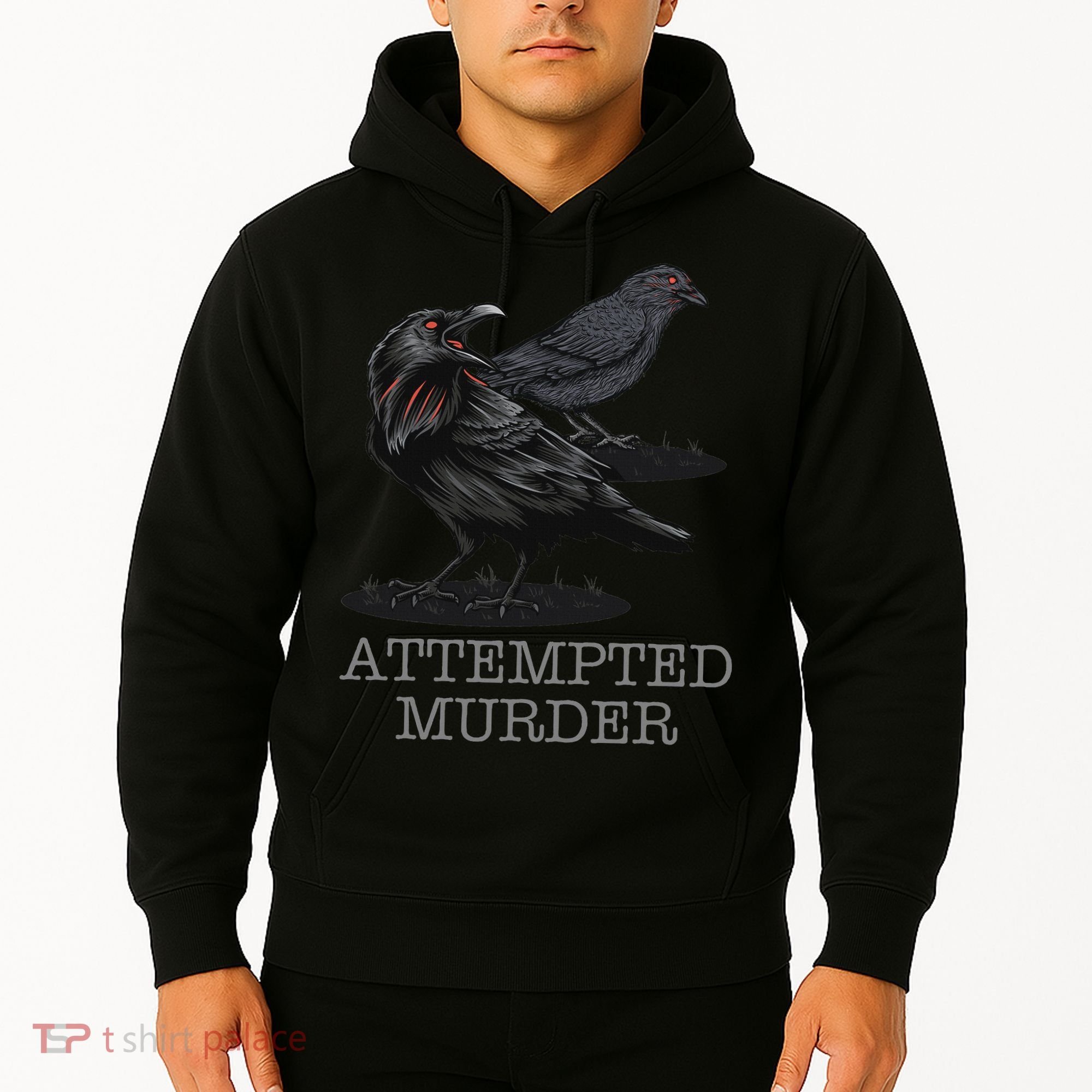 Attempted Murder Crows & Raven Funny Crow Birds Hoodie