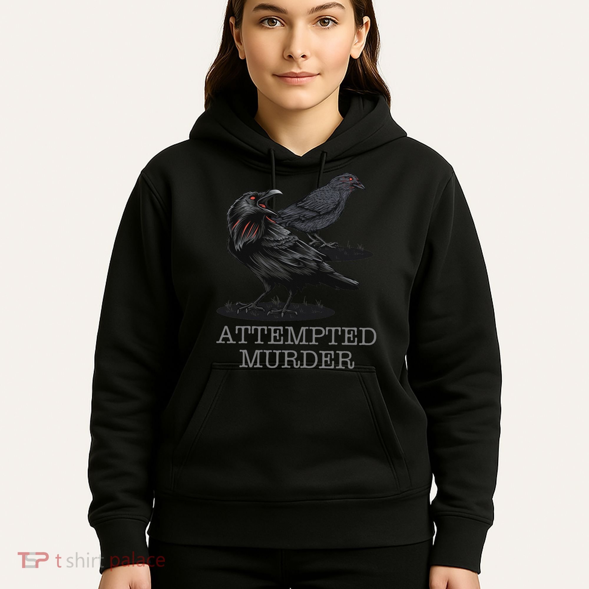 Attempted Murder Crows & Raven Funny Crow Birds Hoodie