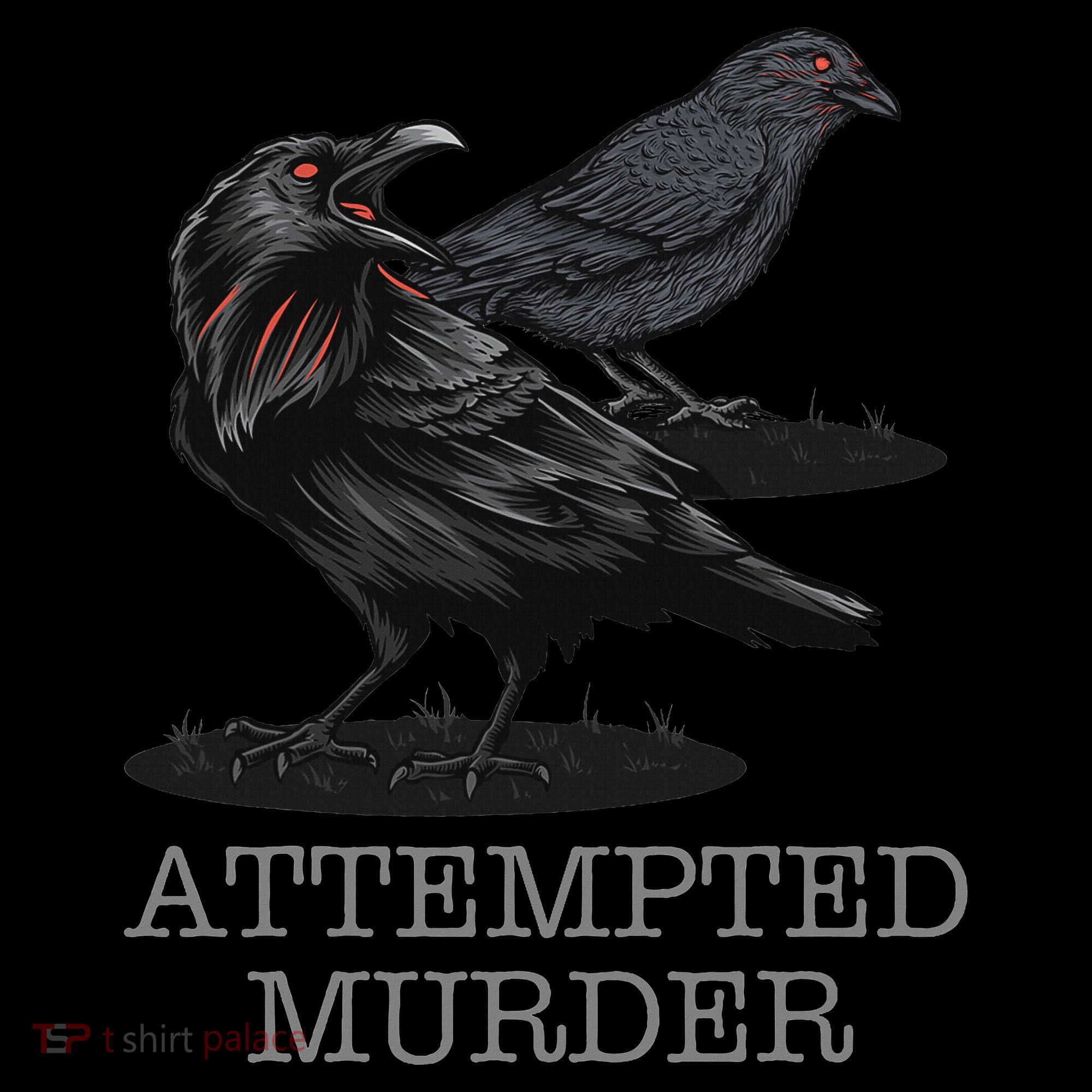 Attempted Murder Crows & Raven Funny Crow Birds Coaster