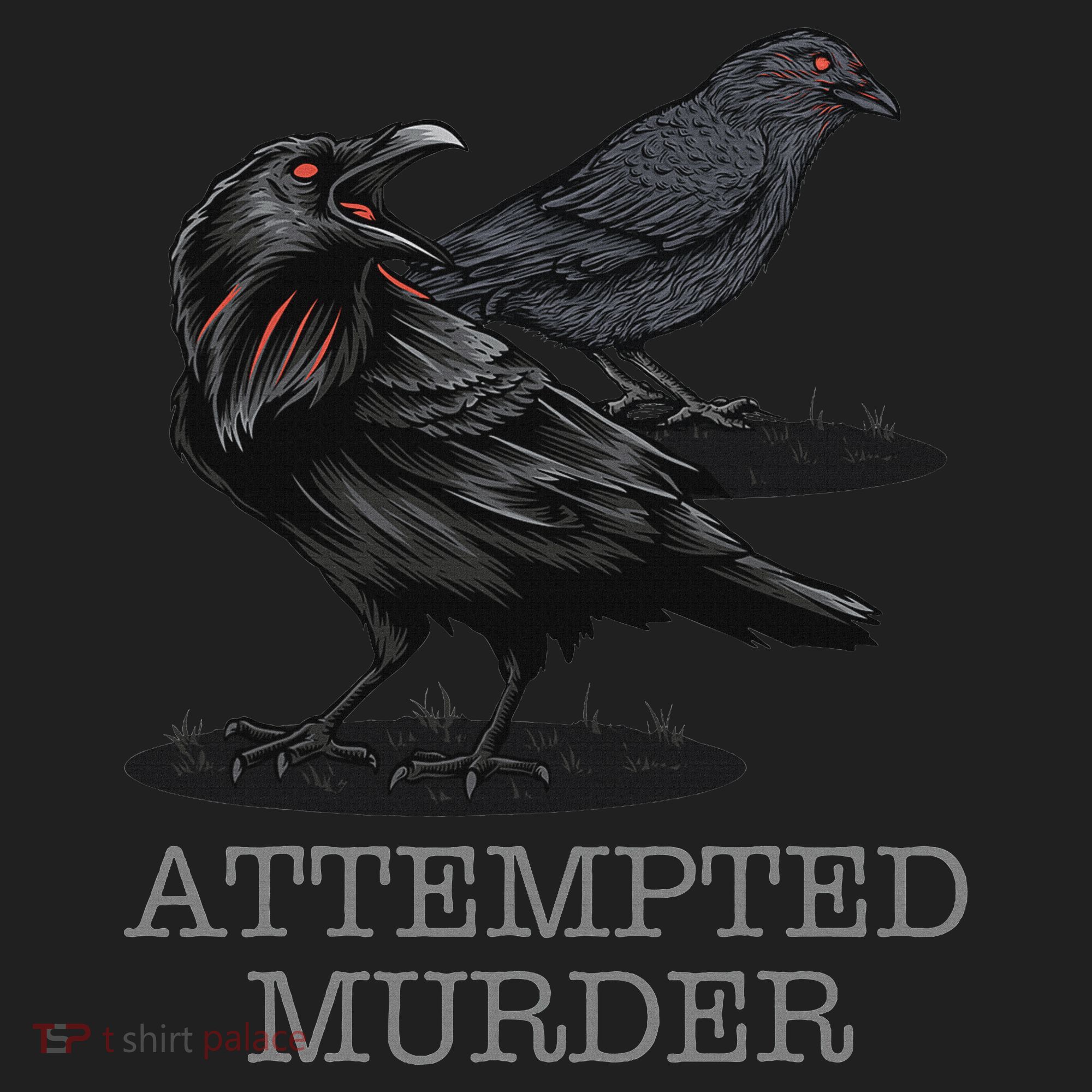 Attempted Murder Crows & Raven Funny Crow Birds Tumbler