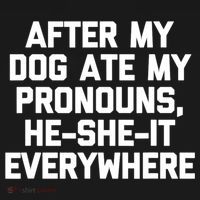 After My Dog Ate My Pronouns He She It Everywhere Funny Visor thumb 3