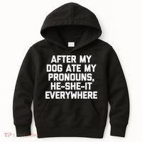 After My Dog Ate My Pronouns He She It Everywhere Funny Kids Hoodie thumb 0