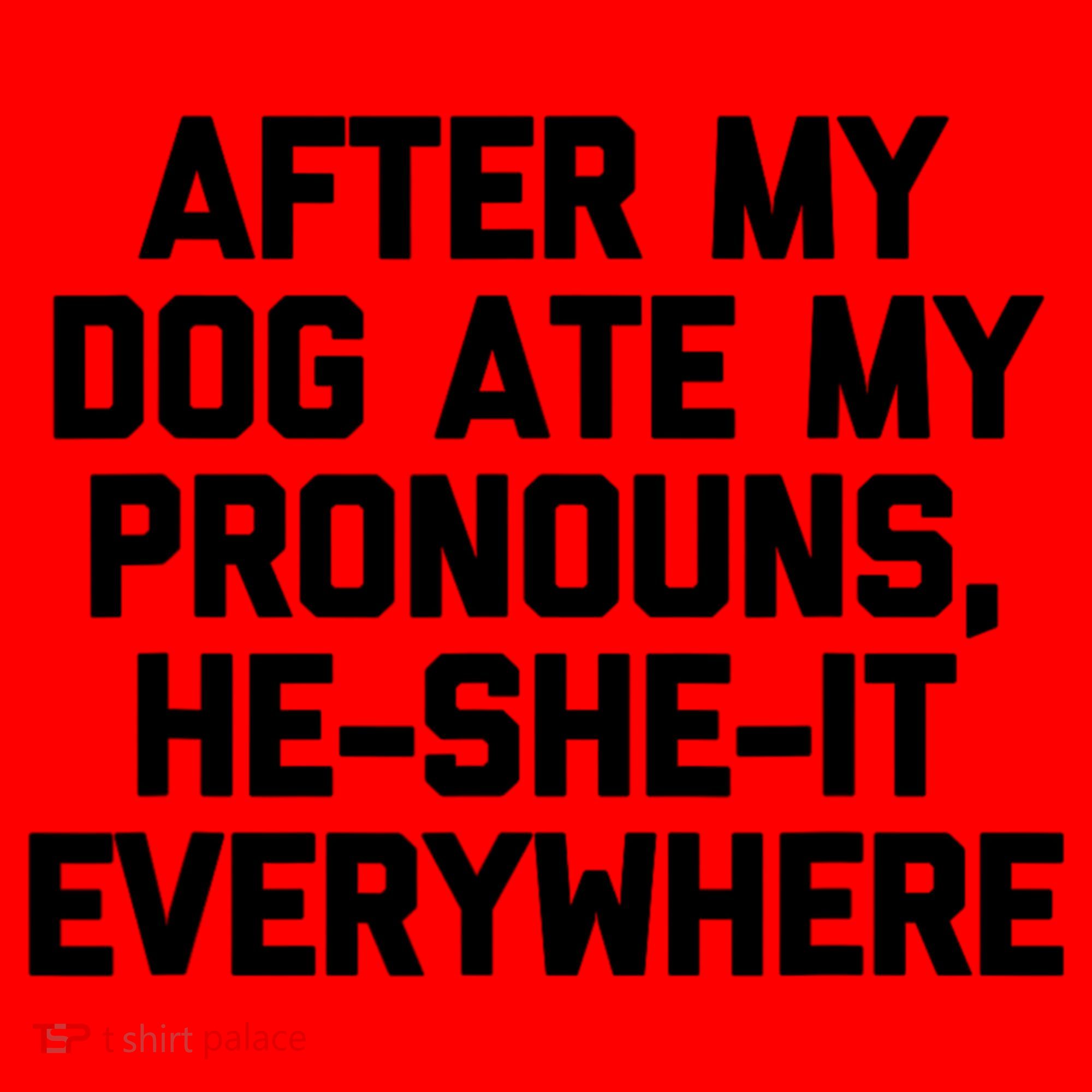 After My Dog Ate My Pronouns He She It Everywhere Funny Santa Hat
