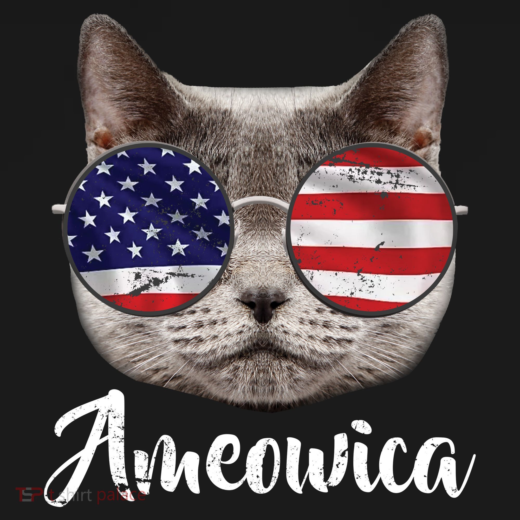 Ameowica America USA Cat Sunglasses Flag Backpack