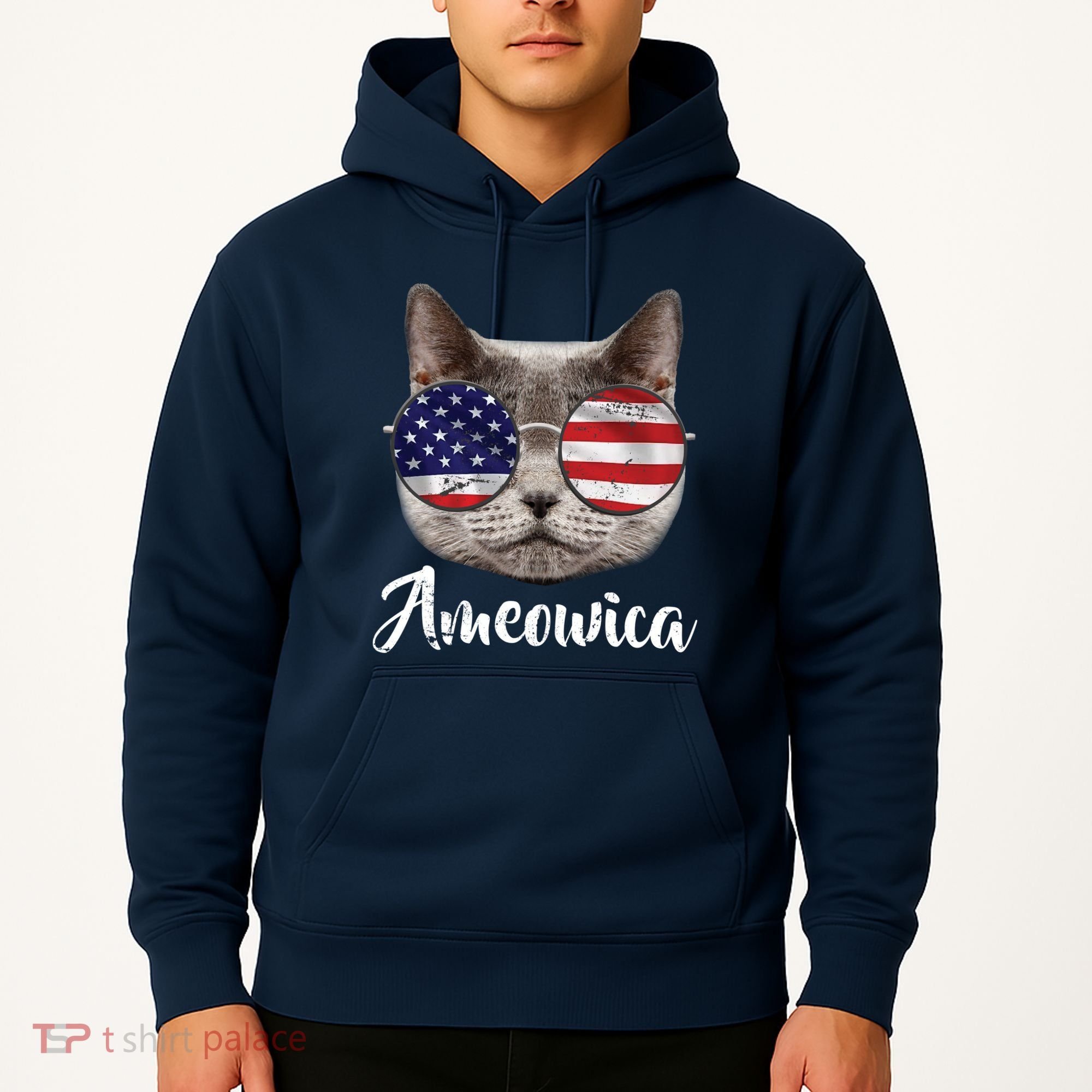 Ameowica America USA Cat Sunglasses Flag Hoodie