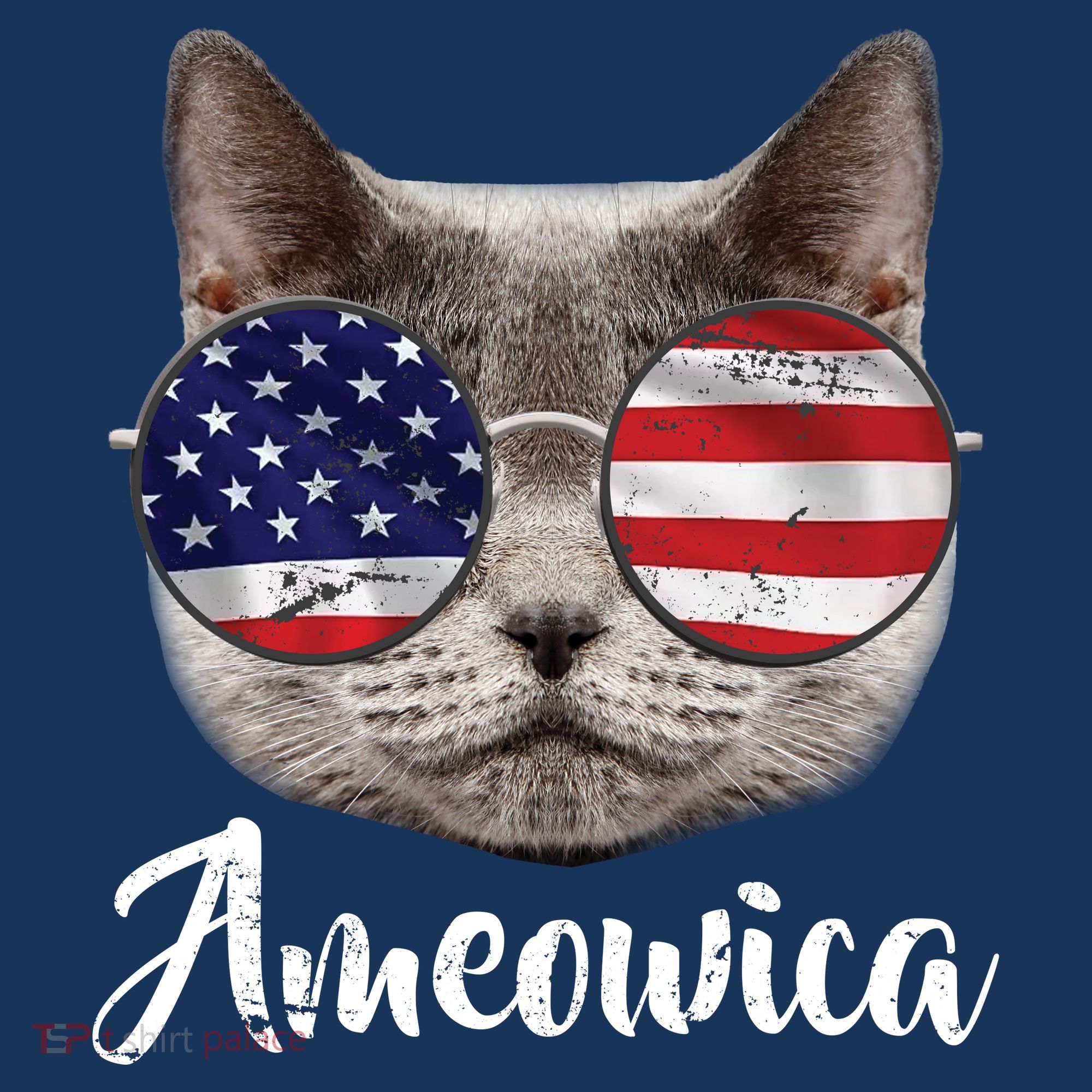 Ameowica America USA Cat Sunglasses Flag Hoodie