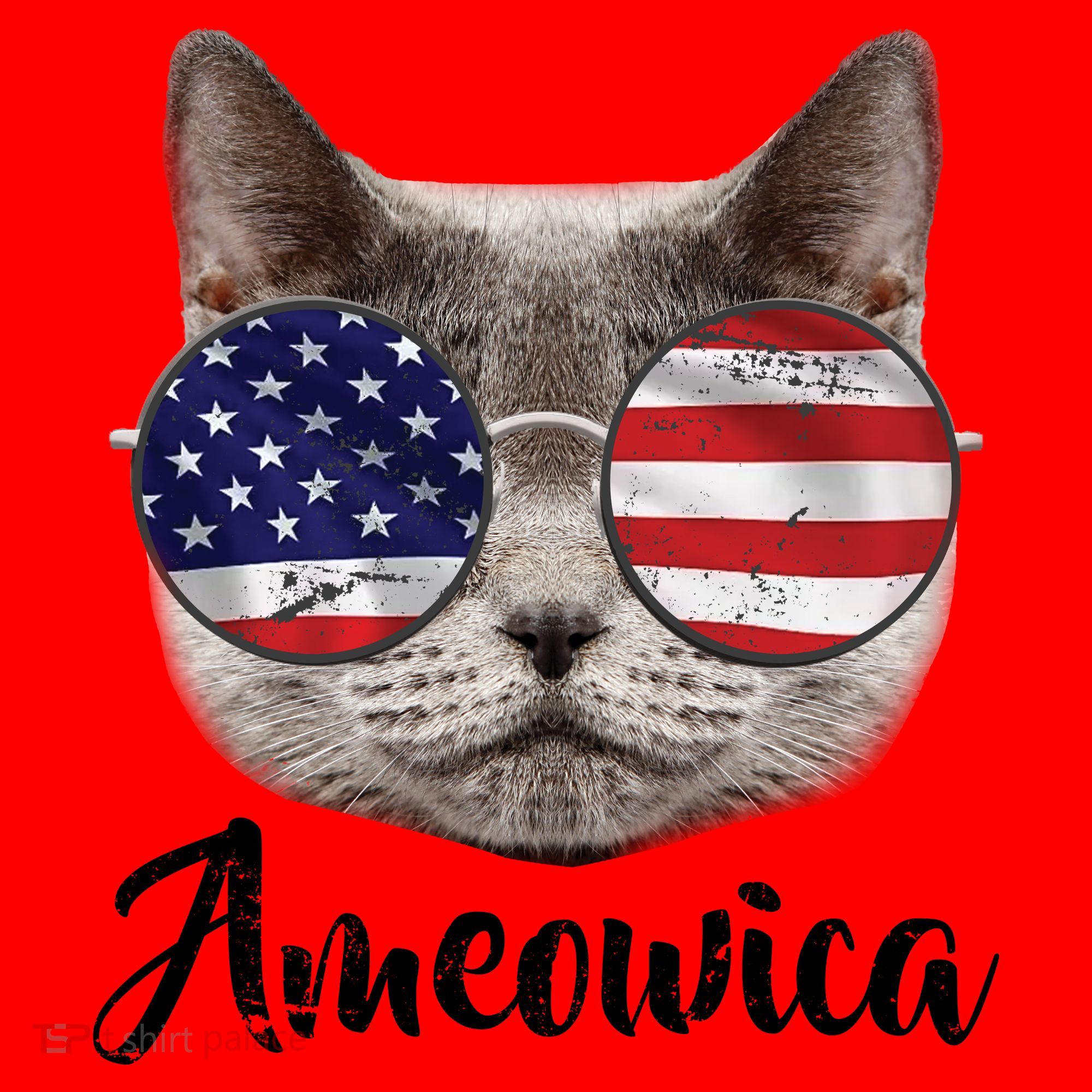 Ameowica America USA Cat Sunglasses Flag Santa Hat