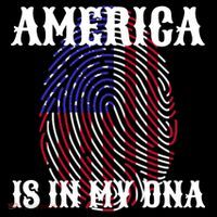 America Is In My DNA Ornament thumb 1