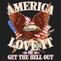America Love It Or Get the Hell Out Tumbler thumb 3