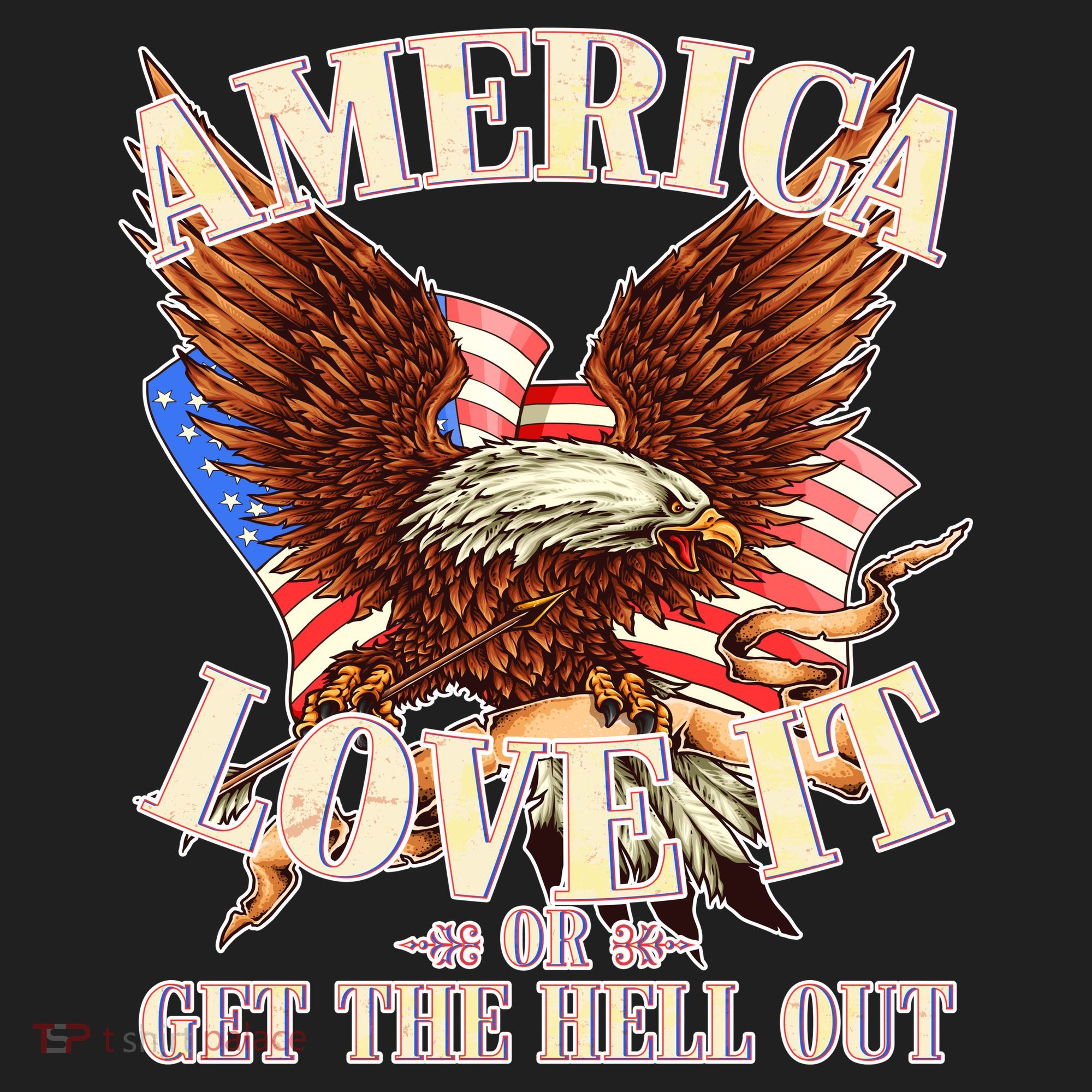 America Love It Or Get the Hell Out Tumbler