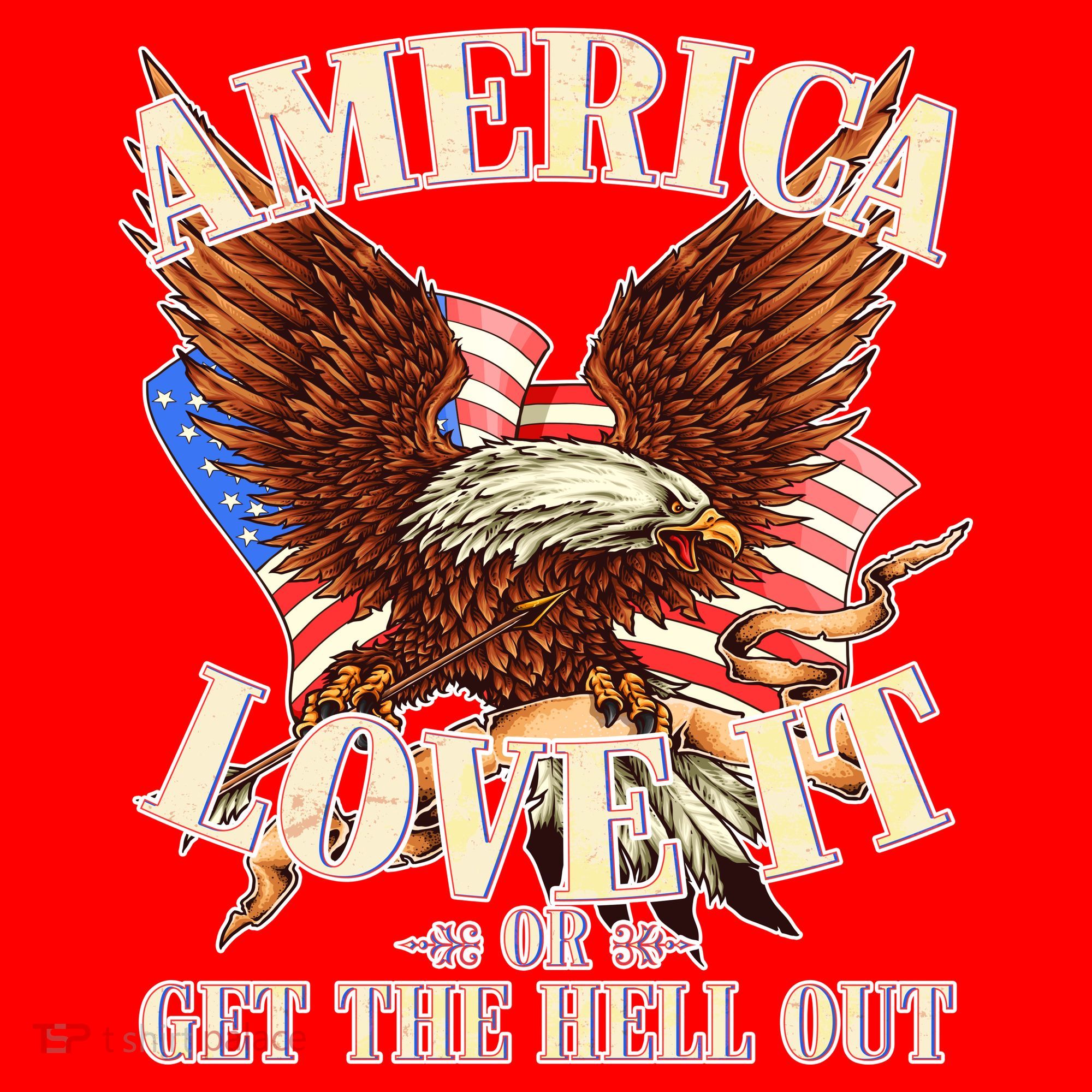 America Love It Or Get the Hell Out Santa Hat