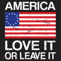 America Love It Or Leave It Betsy Ross Beanie thumb 2