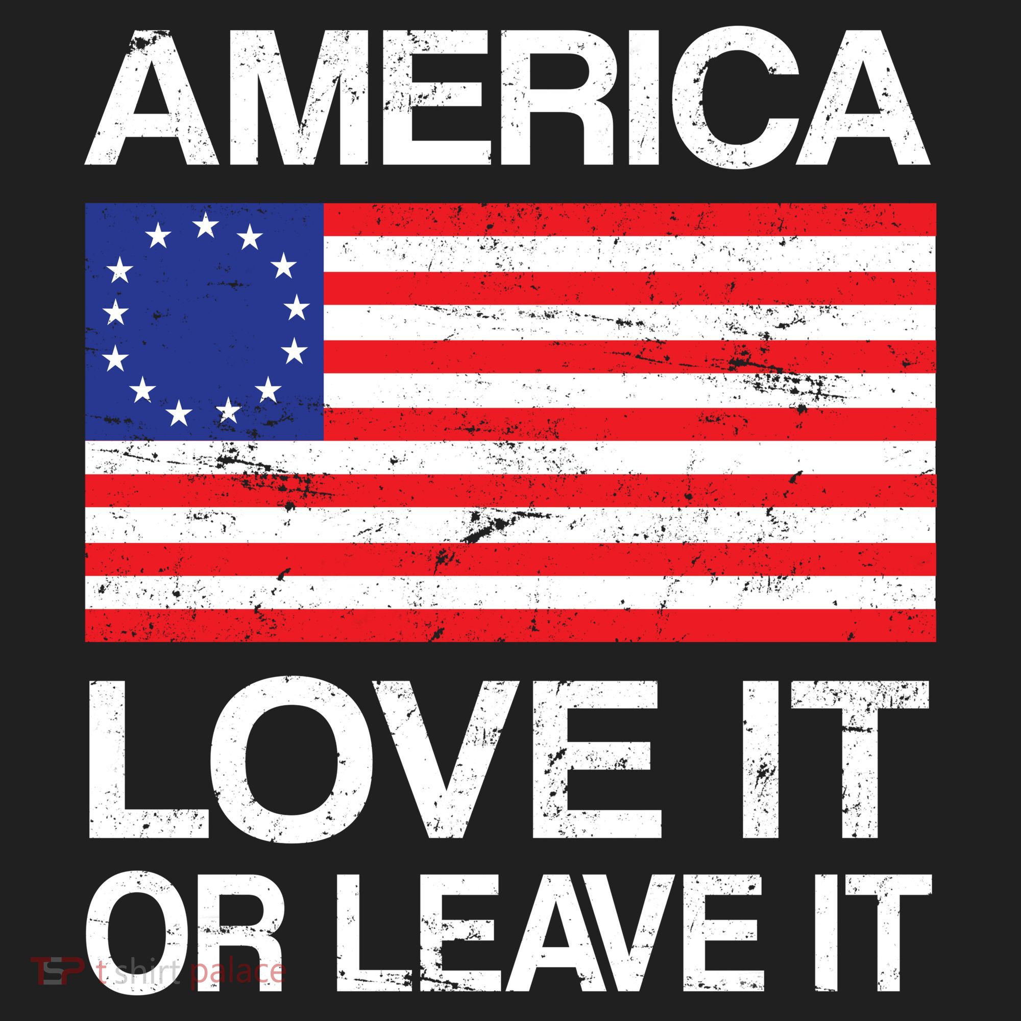 America Love It Or Leave It Betsy Ross Beanie