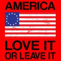 America Love It Or Leave It Betsy Ross Santa Hat thumb 1
