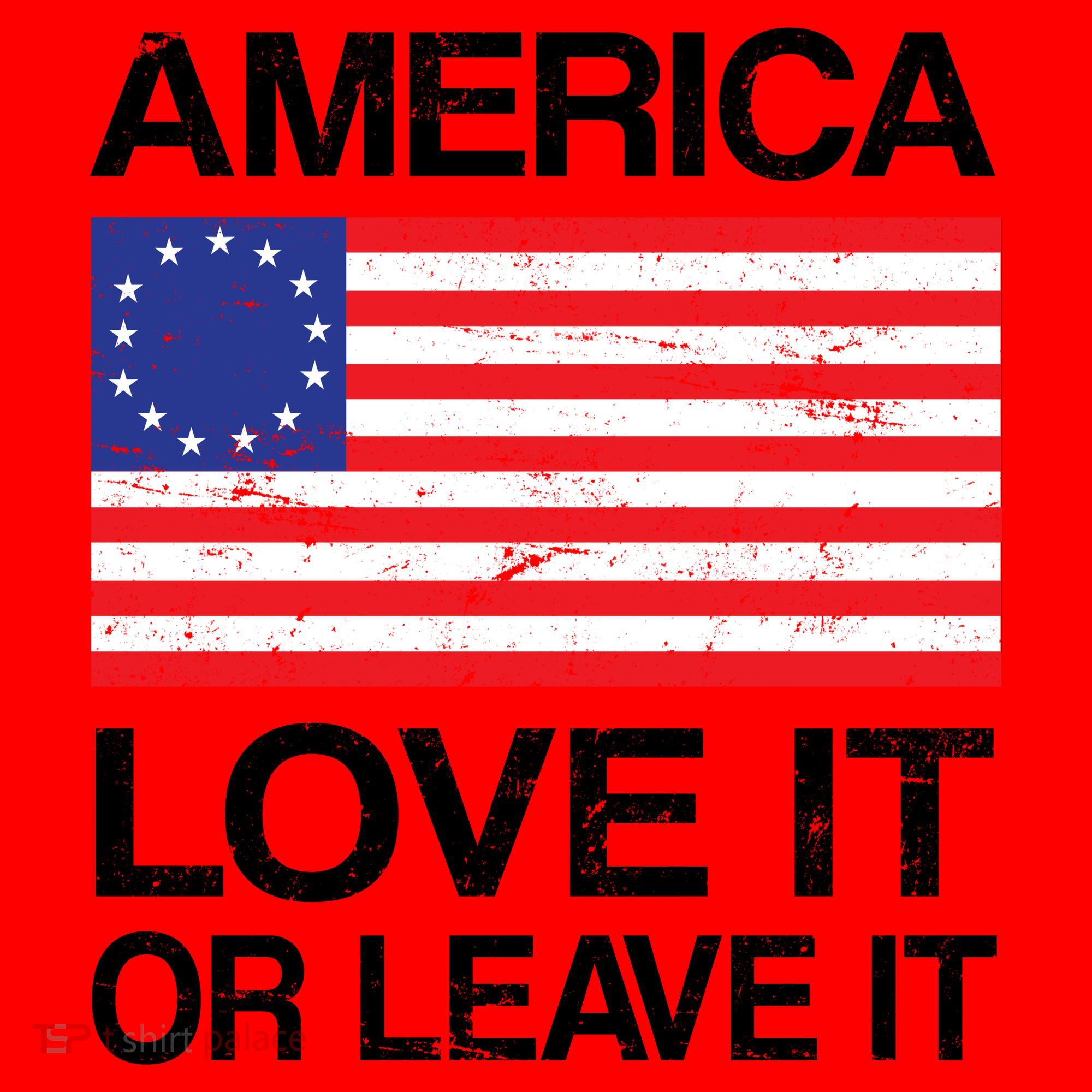 America Love It Or Leave It Betsy Ross Santa Hat