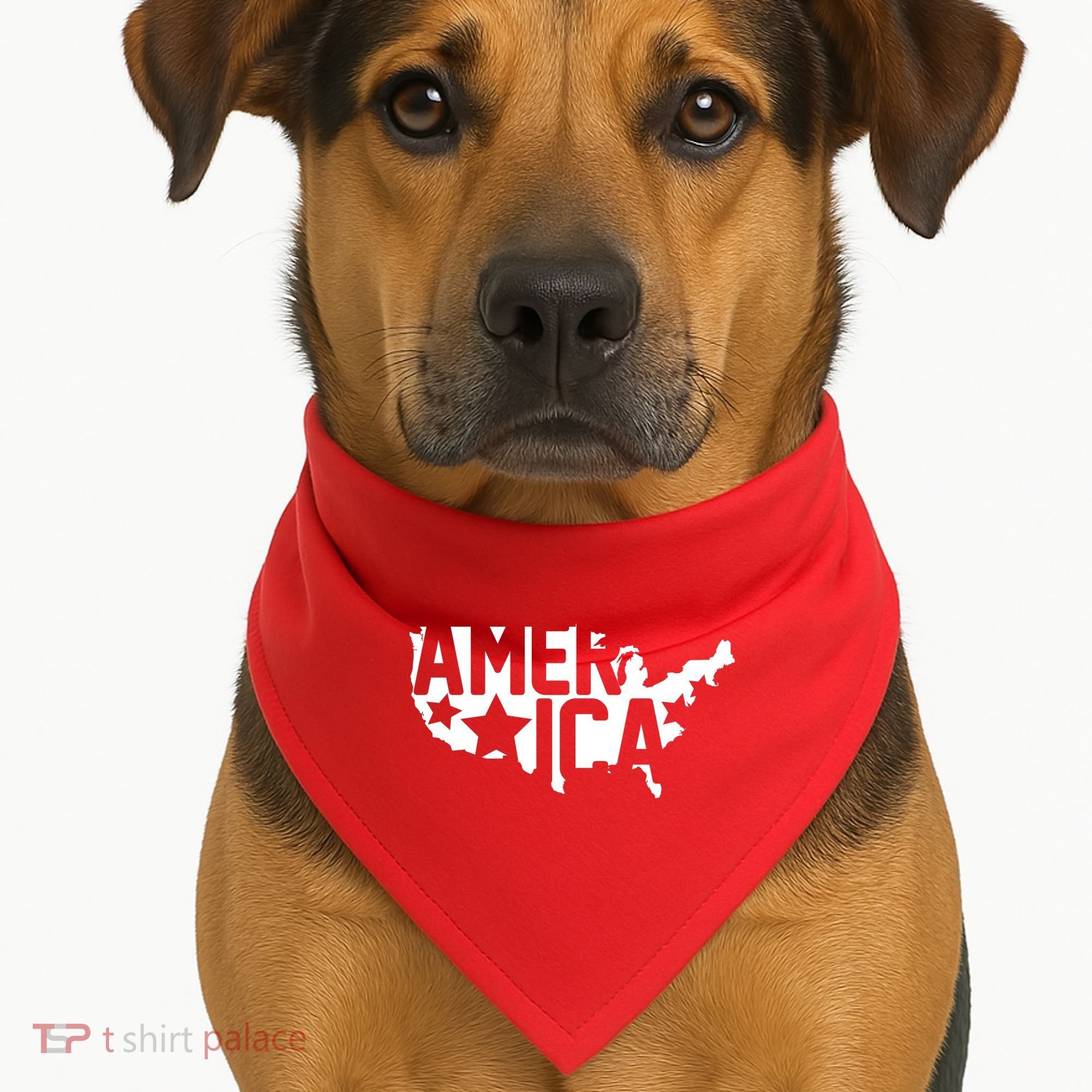 America State Map USA-Made Doggie Bandana