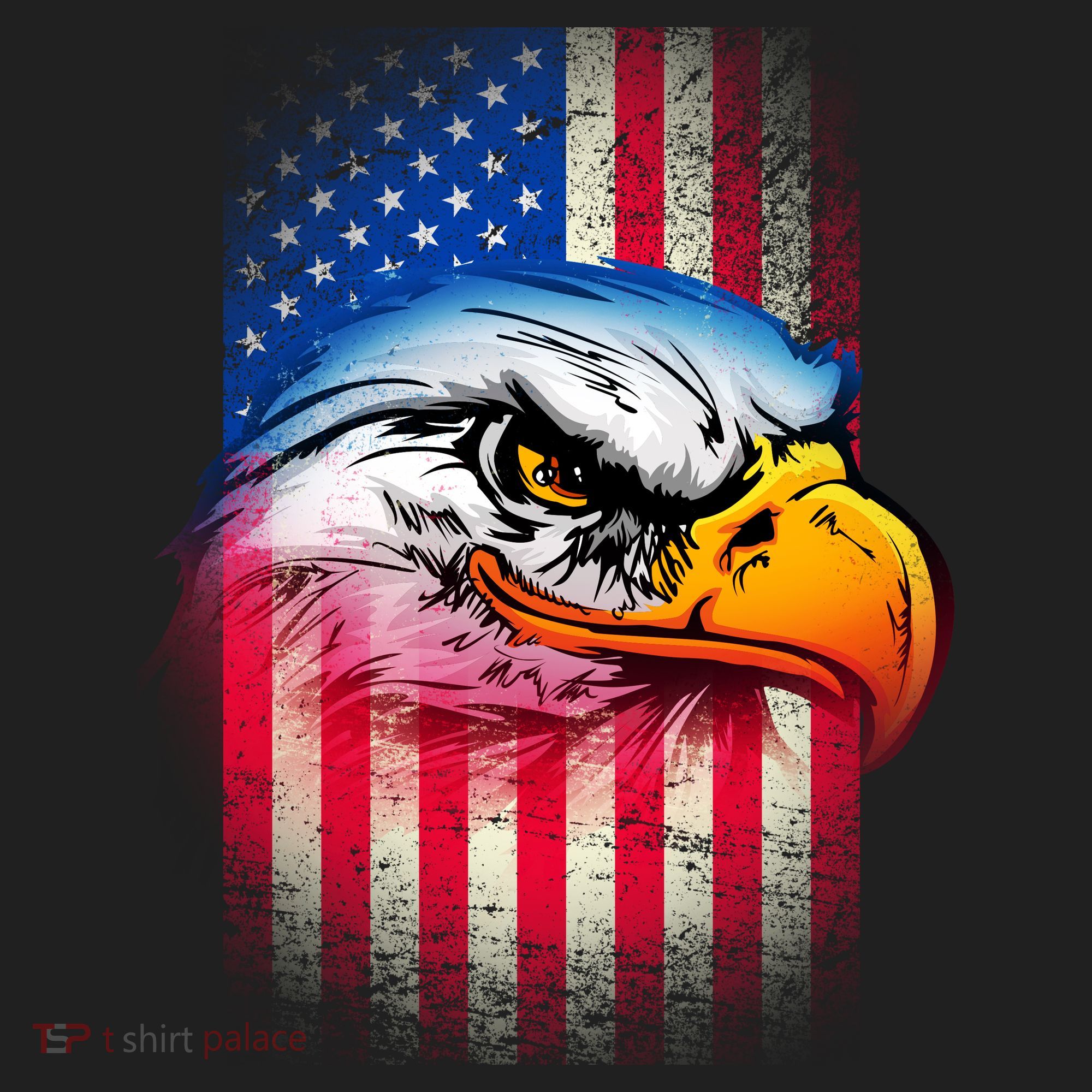 American Bald Eagle Flag Women's Sweatshirt