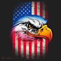 American Bald Eagle Flag Hat thumb 2