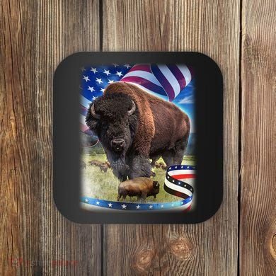 American Bison USA Flag Buffalo Coaster