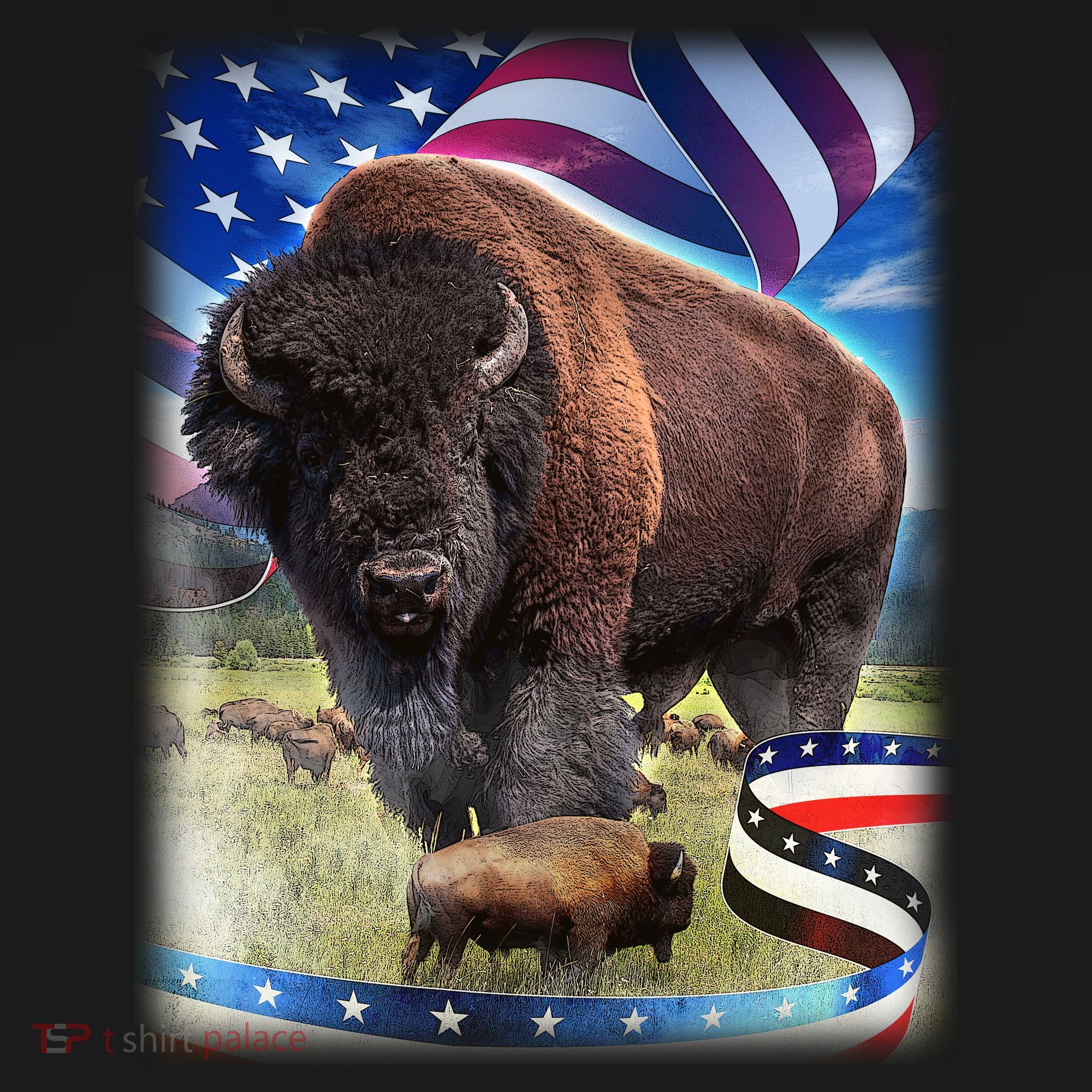 American Bison USA Flag Buffalo Kids Long Sleeve Shirt