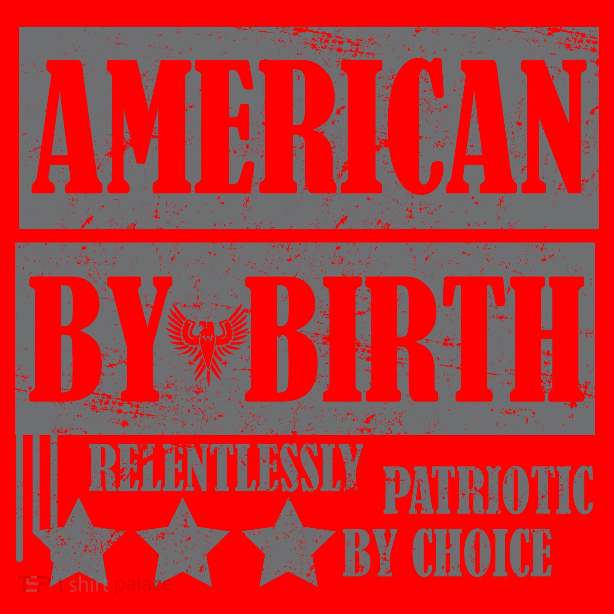 American By Birth Patriotic by Choice Santa Hat
