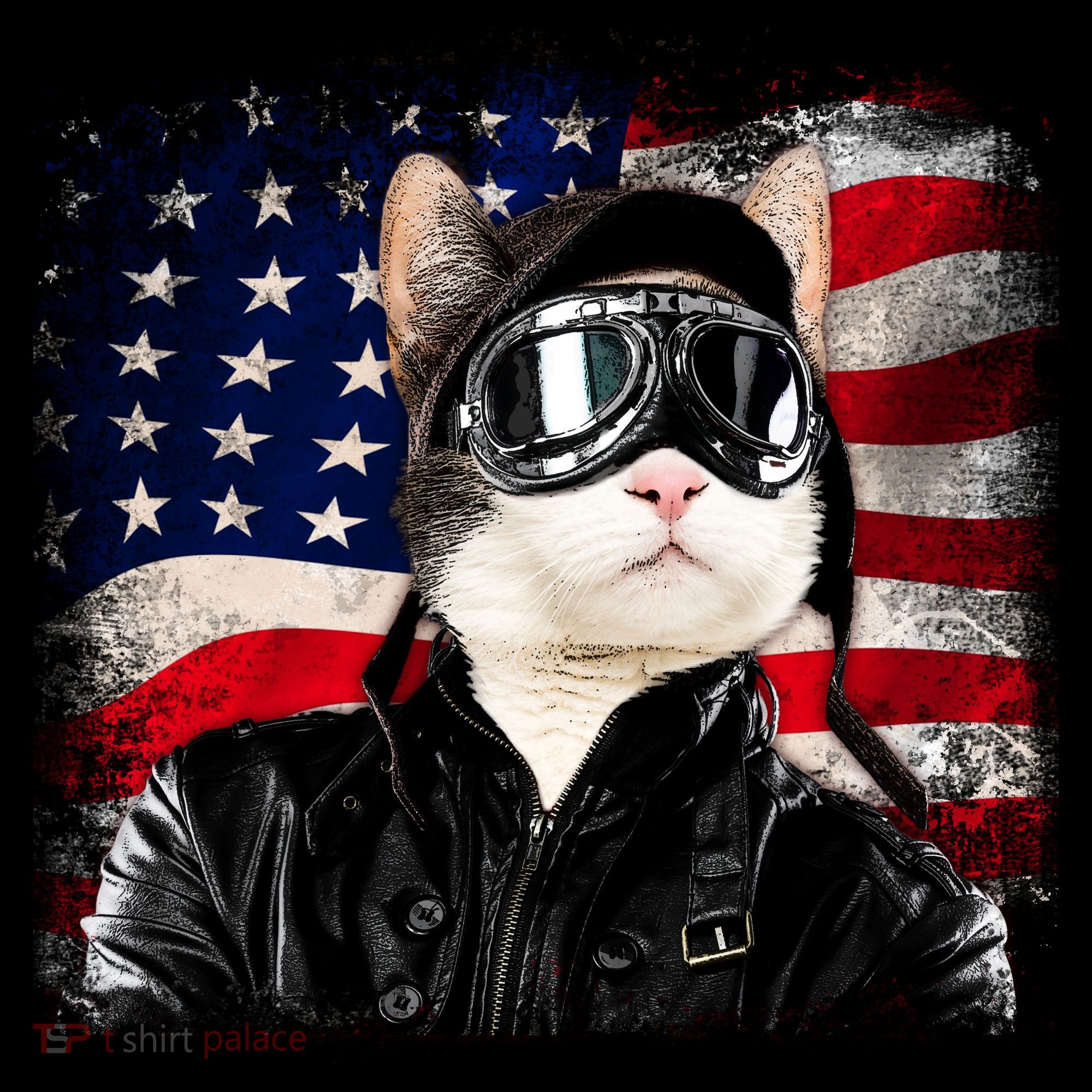 American Cat Air Force Pilot  Backpack