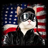 American Cat Air Force Pilot  Coffee Mug thumb 5