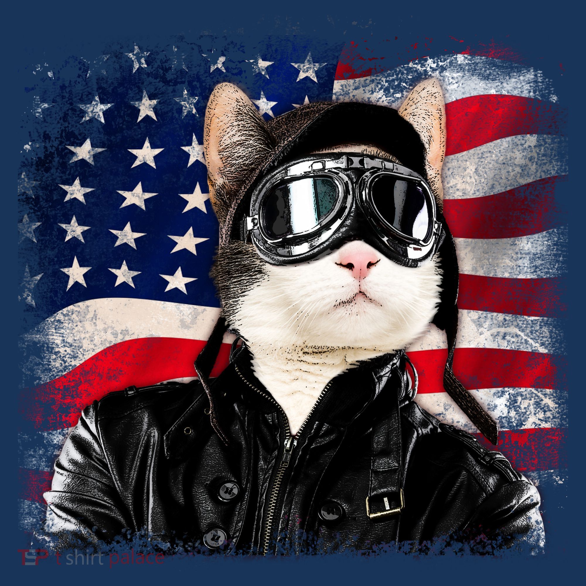 American Cat Air Force Pilot  Long Sleeve Shirt