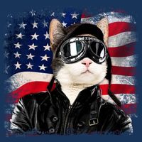 American Cat Air Force Pilot  Hat thumb 2