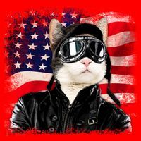 American Cat Air Force Pilot  Santa Hat thumb 1