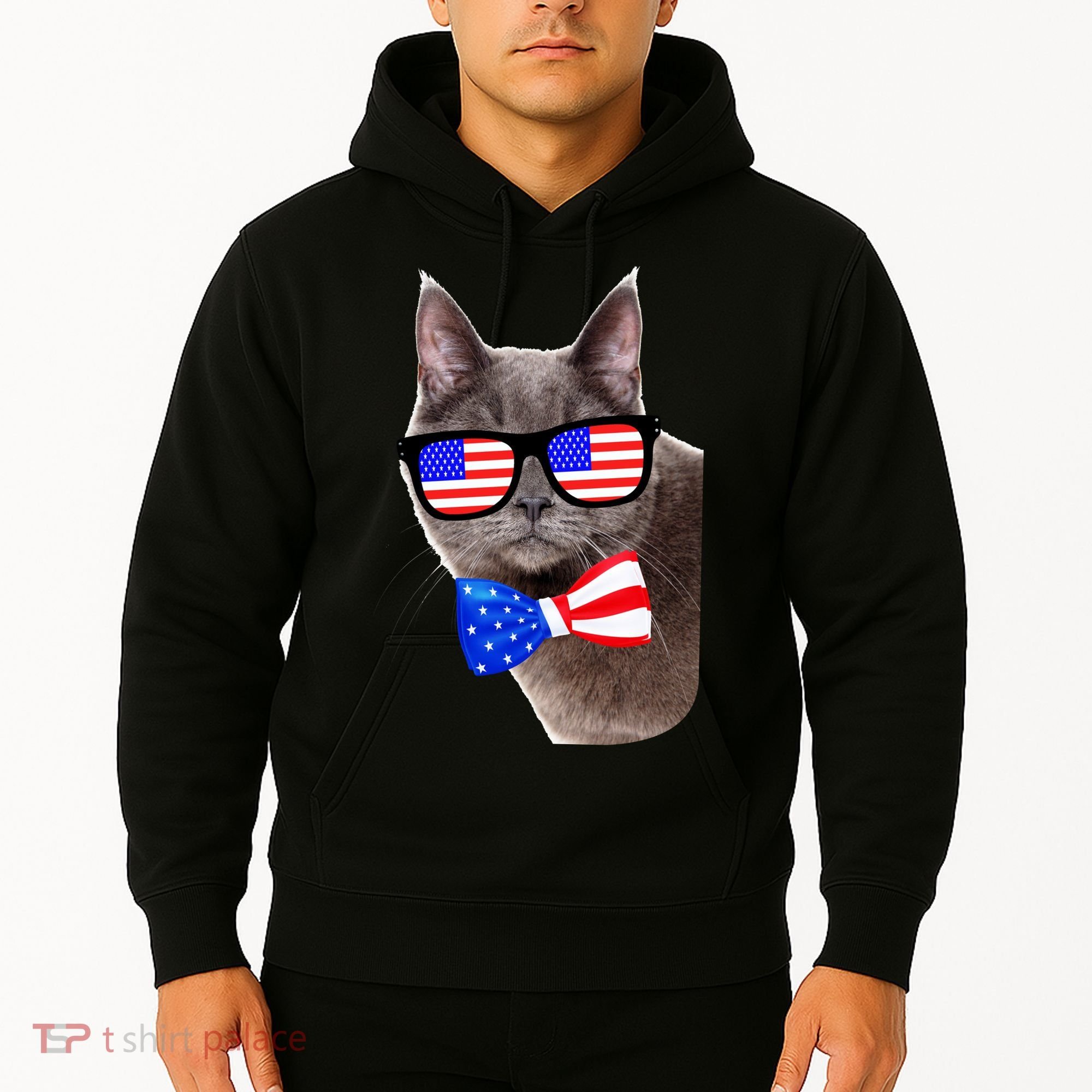 American Cat With USA Glasses And Bow Tie Hoodie