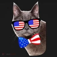 American Cat With USA Glasses And Bow Tie Hoodie thumb 2