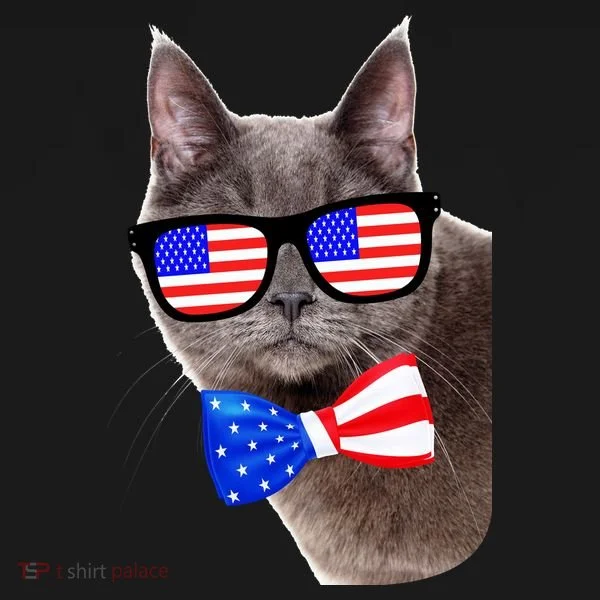 American Cat With USA Glasses And Bow Tie Hoodie
