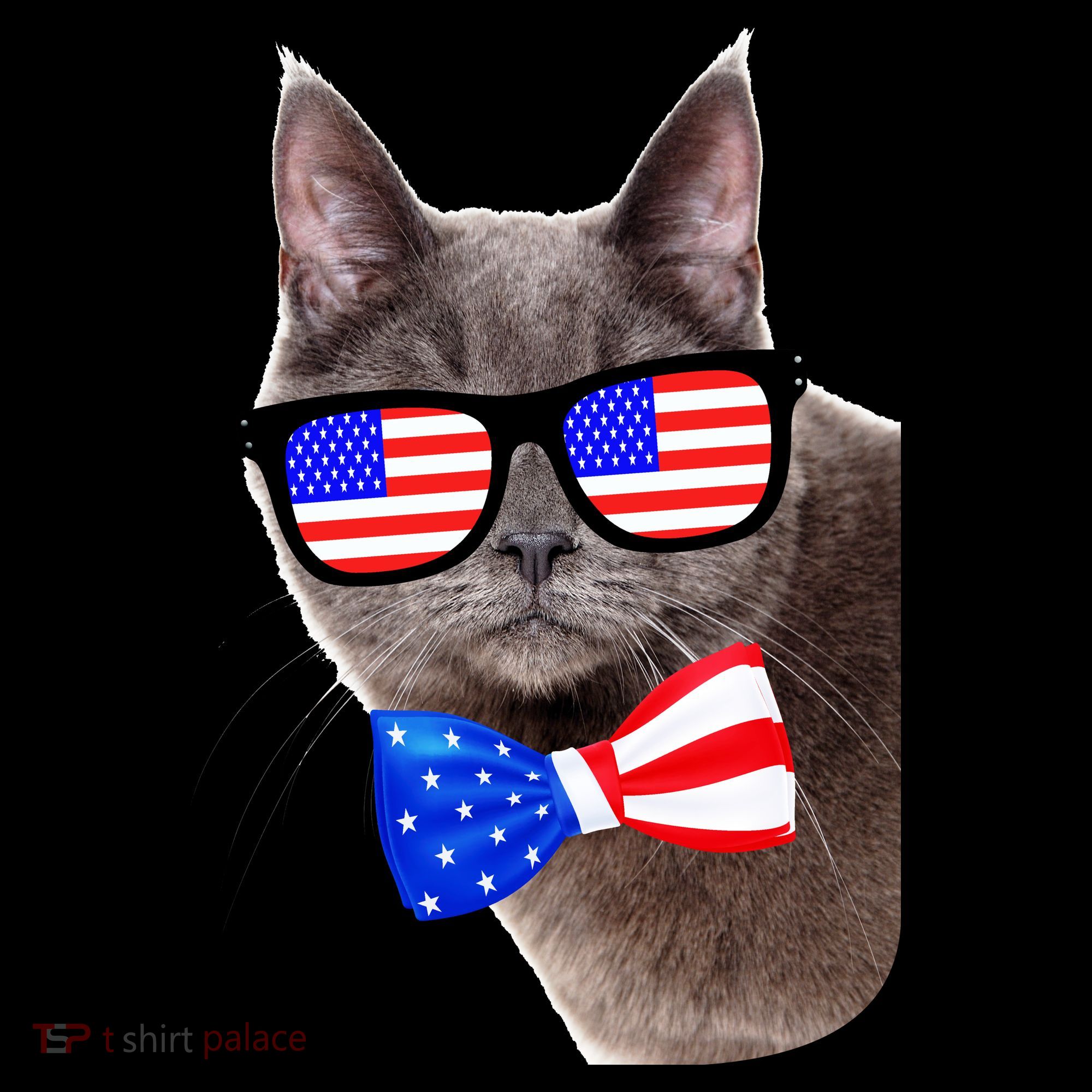 American Cat With USA Glasses And Bow Tie Mousepad