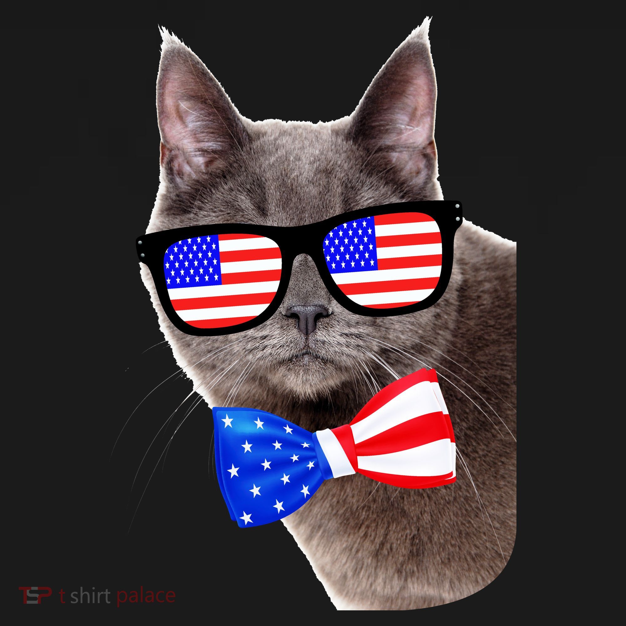 American Cat With USA Glasses And Bow Tie Toddler T-Shirt
