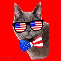 American Cat With USA Glasses And Bow Tie Santa Hat thumb 1