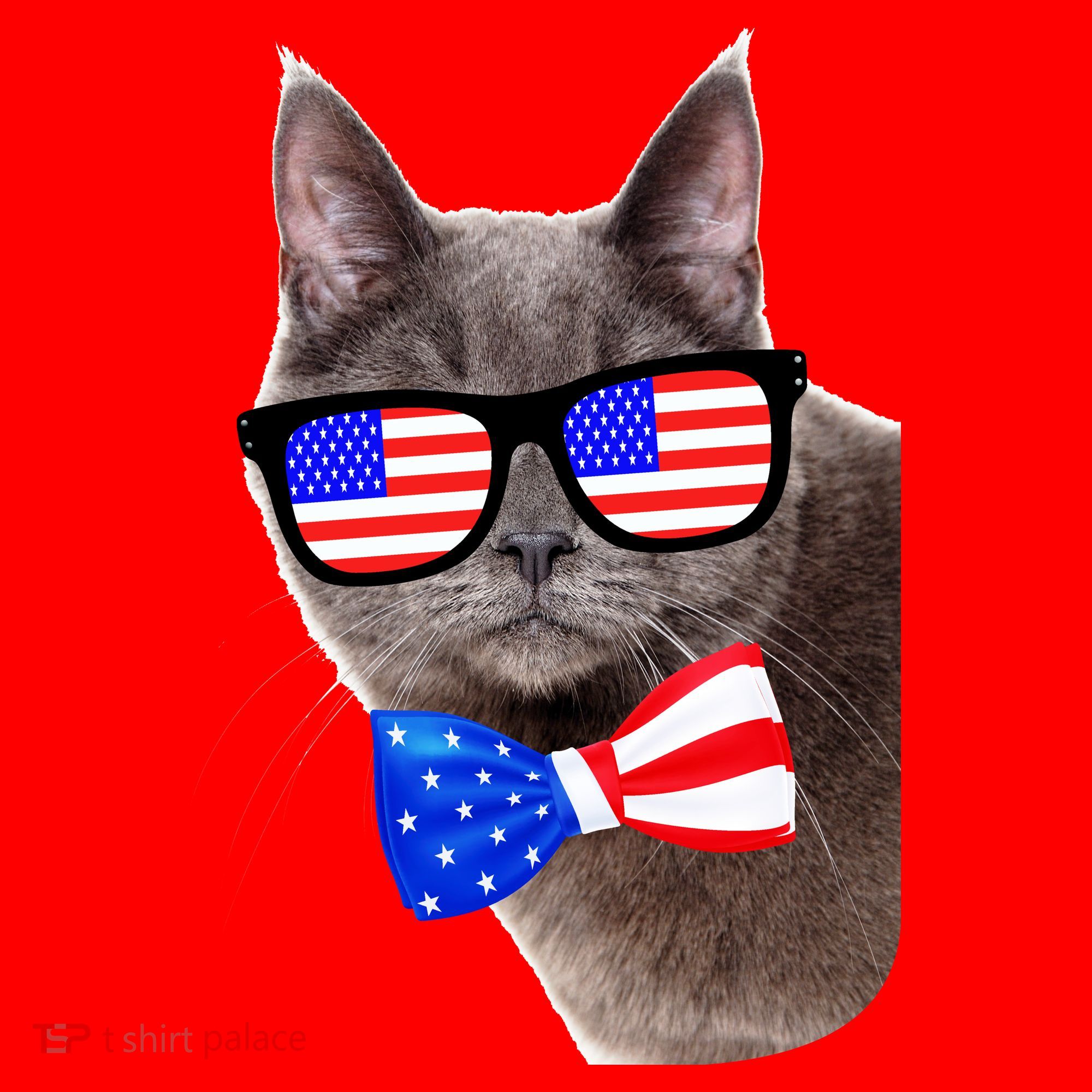 American Cat With USA Glasses And Bow Tie Santa Hat