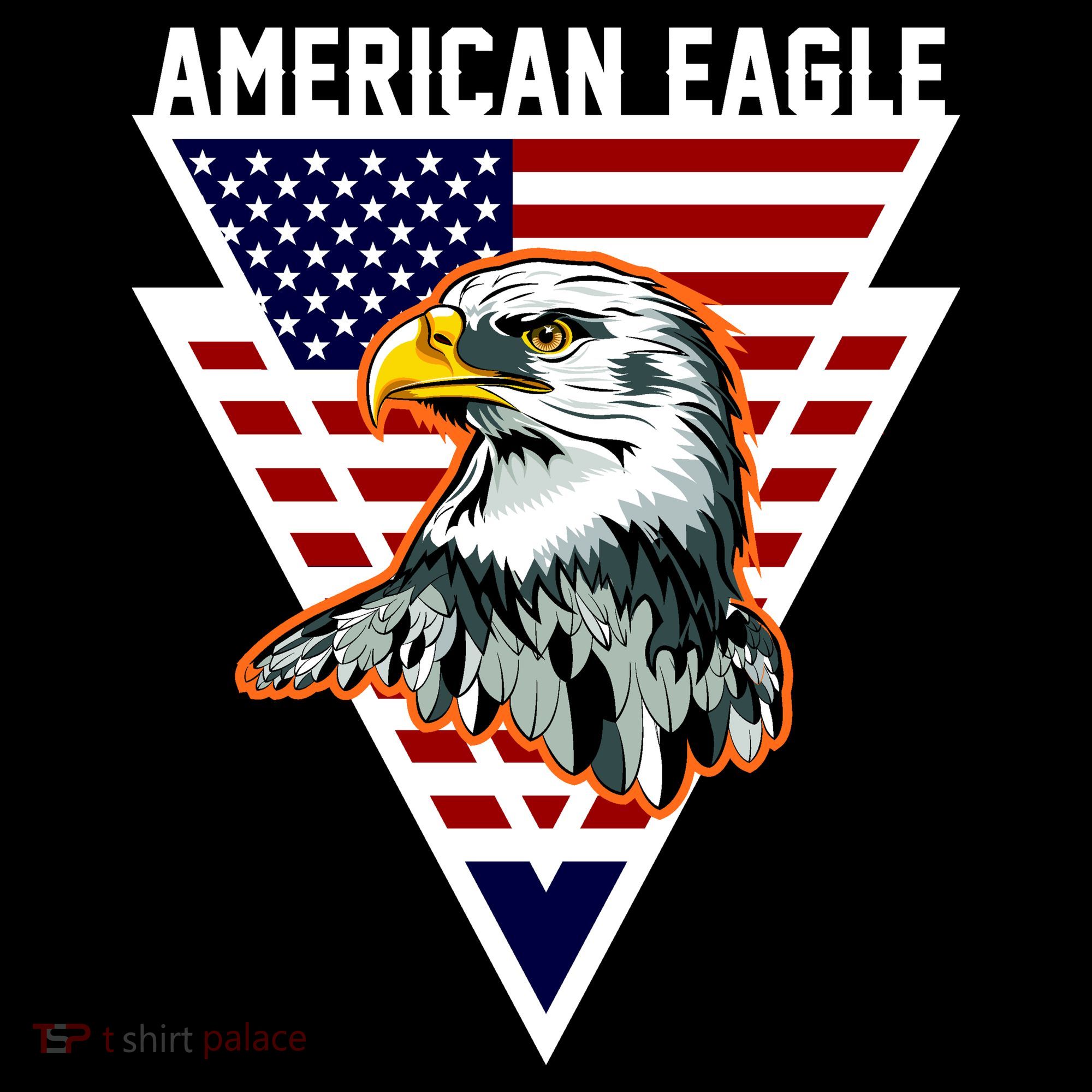 American Eagle USA Pride Backpack