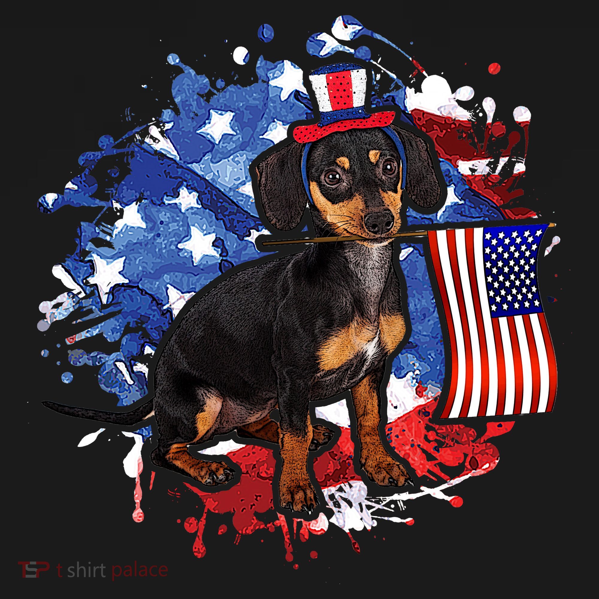 American Flag Dachshund Dog Cool Women's T-Shirt