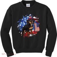 American Flag Dachshund Dog Cool Kids Sweatshirt thumb 0