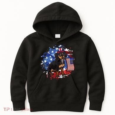 American Flag Dachshund Dog Cool Kids Hoodie