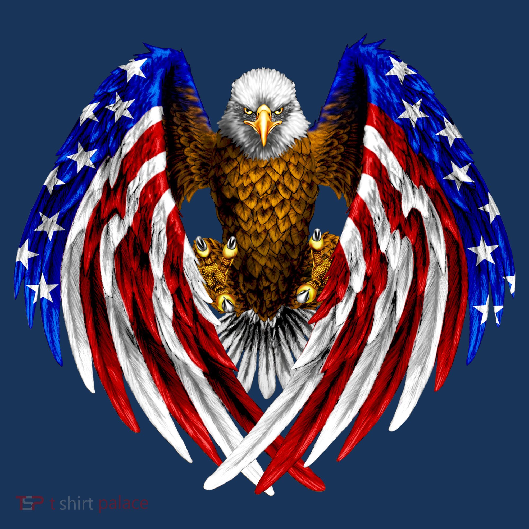 American Flag Eagle Beanie