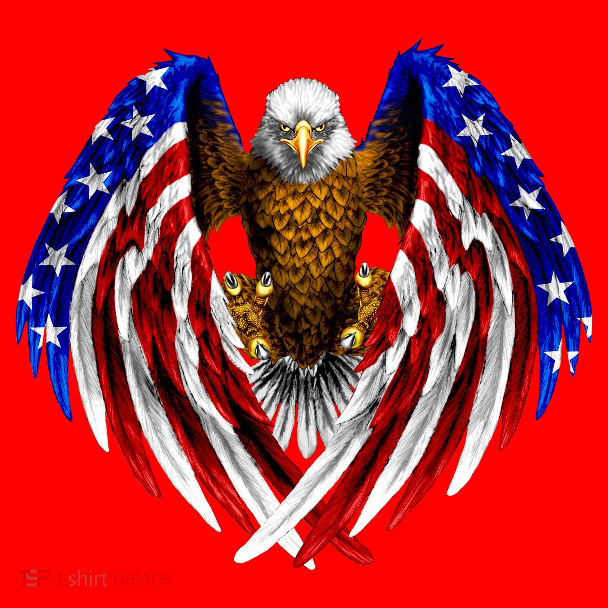 American Flag Eagle Santa Hat