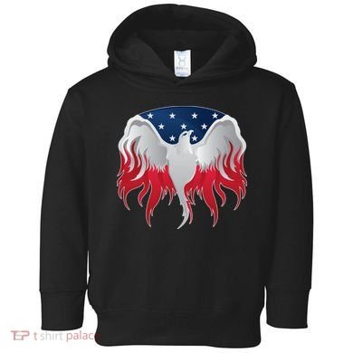 American Flag Eagle USA Illustration Toddler Hoodie