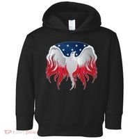 American Flag Eagle USA Illustration Toddler Hoodie thumb 0