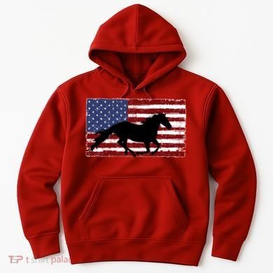 American Horse Flag Vintage Hoodie