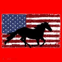 American Horse Flag Vintage T-Shirt thumb 7