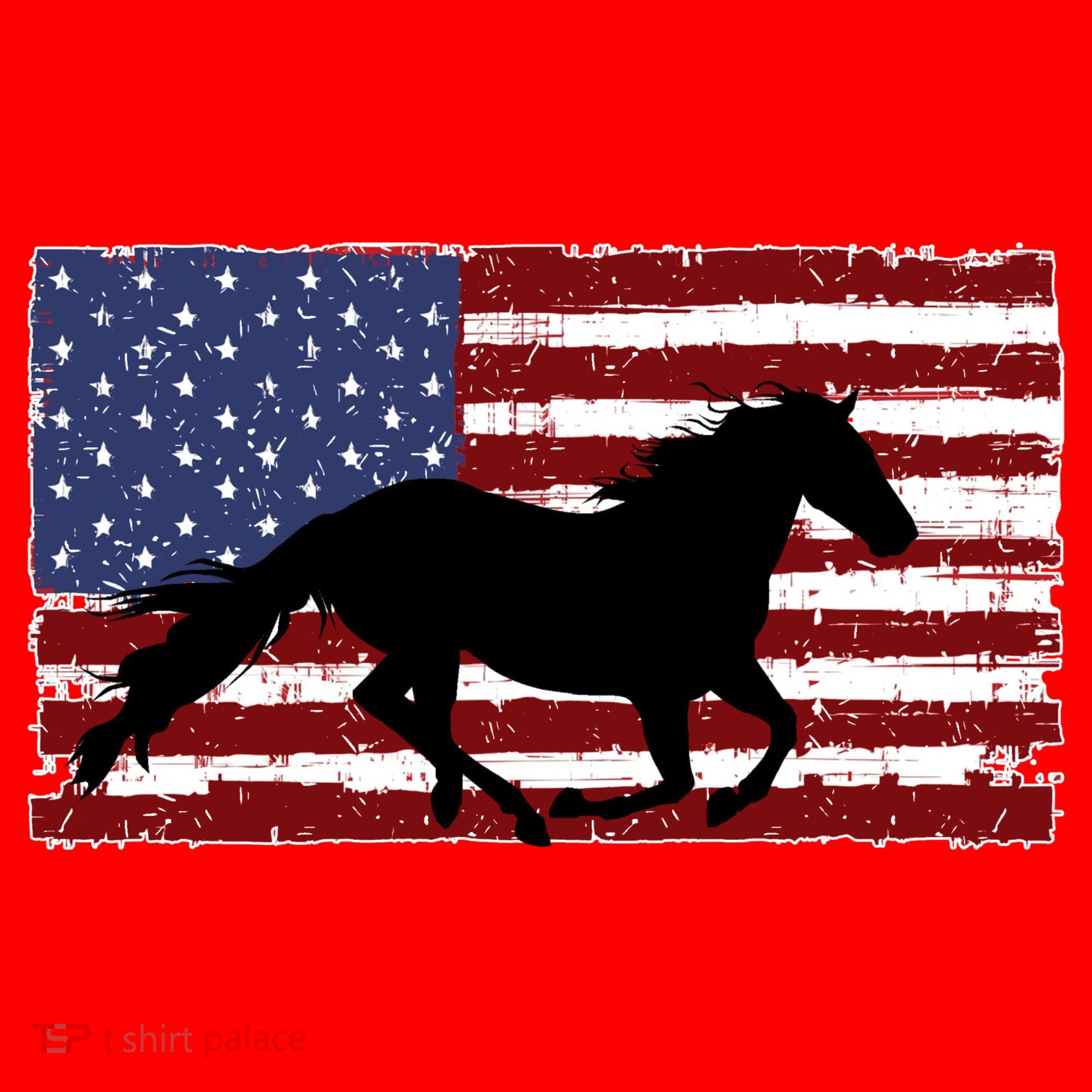 American Horse Flag Vintage T-Shirt