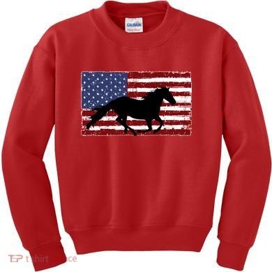American Horse Flag Vintage Kids Sweatshirt