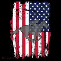 American Horse Racing Flag Women's Hoodie thumb 2